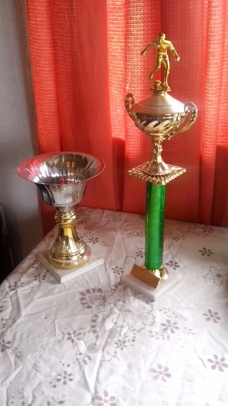 Copas del torneo